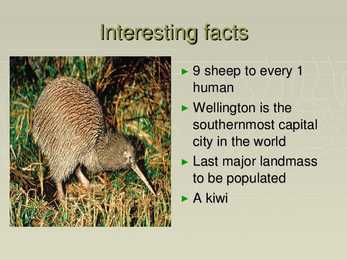 New Zealand #6