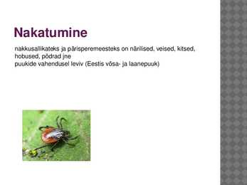 Puukborrelioos e-Mycobacterium tuberculosis #3