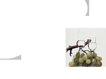 Grappa esitlus #5