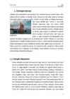 Viikingid #4