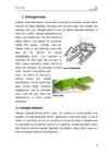 Viikingid #6