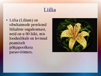 Iluaianduse ettekanne #3