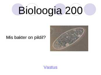 Kuldvillak #20