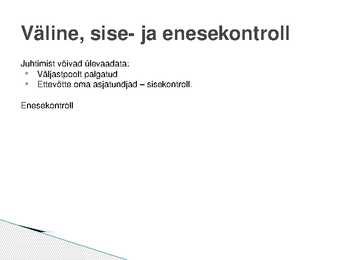 Finants- ja tegevuskontroll ettevõttes - ettekande slaidid #9