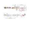 Paberi ajalugu #3