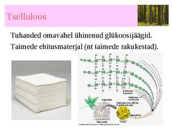 SAHHARIIDID #13