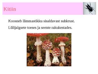 SAHHARIIDID #14
