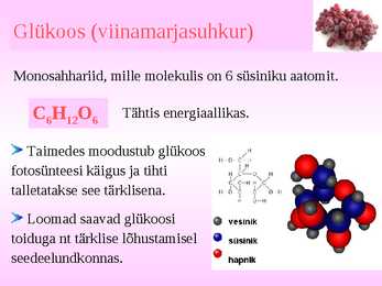 SAHHARIIDID #4