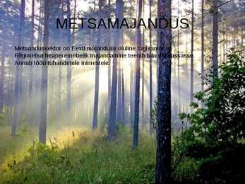 METSADE MAJANDUSLIKU KASUTAMISEGA KAASNEVAD KESKKONNA- JA SOTSIAALSED PROBLEEMID #2