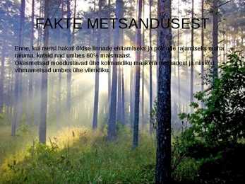 METSADE MAJANDUSLIKU KASUTAMISEGA KAASNEVAD KESKKONNA- JA SOTSIAALSED PROBLEEMID #11