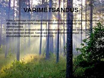 METSADE MAJANDUSLIKU KASUTAMISEGA KAASNEVAD KESKKONNA- JA SOTSIAALSED PROBLEEMID #8