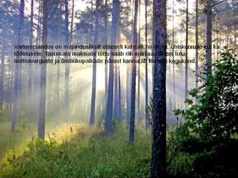 METSADE MAJANDUSLIKU KASUTAMISEGA KAASNEVAD KESKKONNA- JA SOTSIAALSED PROBLEEMID #10