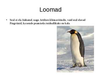 Arktiline ja Antktartiline kliimavööde #9