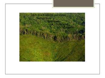 Deforestation #3