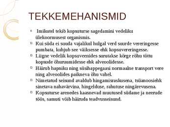 KOPSUTURSE #7