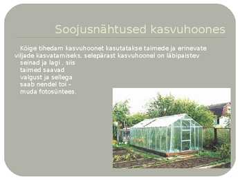 Soojusnähtused kasvuhoones #2