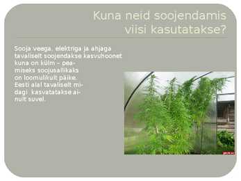 Soojusnähtused kasvuhoones #4