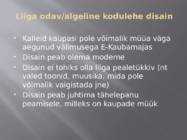 Disainerkaupade e-kaubamaja asutamine #12