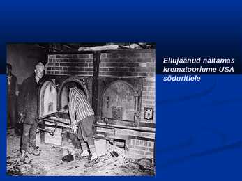 Holocaust #15