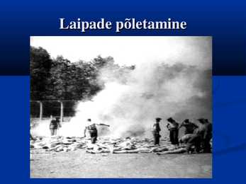 Holocaust #17