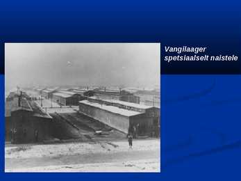 Holocaust #23