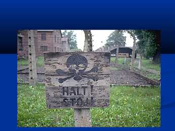 Holocaust #25