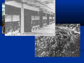 Holocaust #27