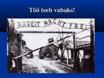 Holocaust #29