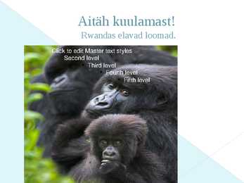RWANDA GENOTSIID #13