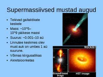 Must auk #12