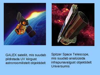 Must auk #16
