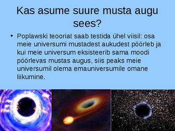 Must auk #18