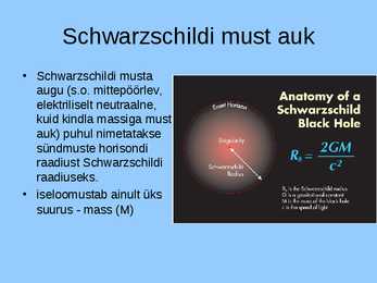 Must auk #6