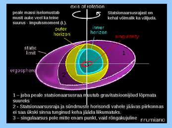 Must auk #9
