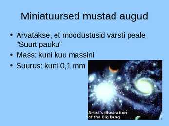 Must auk #10