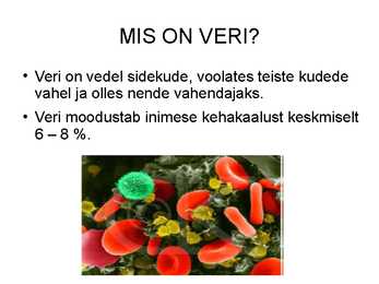 Vere komponendid ja nende funktsioonid #2