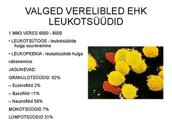 Vere komponendid ja nende funktsioonid #14