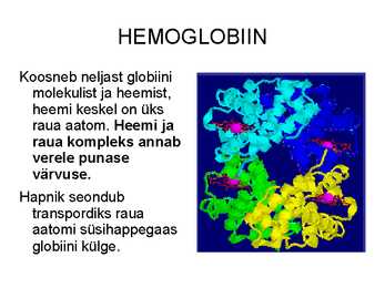 Vere komponendid ja nende funktsioonid #18