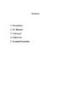 Vana-Egiptus 18-dünastia #2