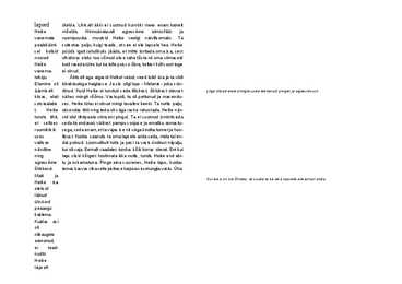 Rüdiger Penthin-AGRESSIIVNE LAPS-2003 #7