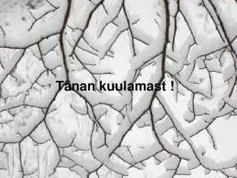 Leonhard Lapin #15