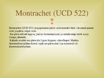 Veinipärmid #20