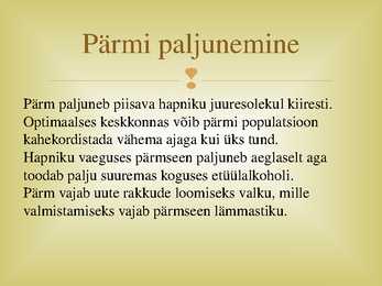 Veinipärmid #10