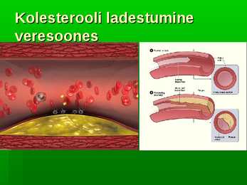 Maksa funktsioonid lipiidide ainevahetuses #7