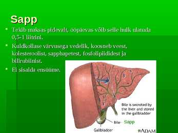 Maksa funktsioonid lipiidide ainevahetuses #8