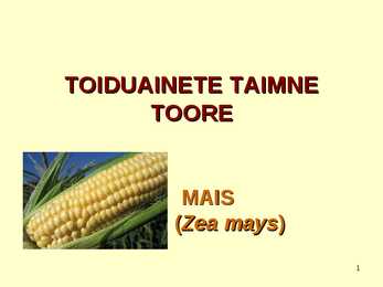 TOIDUAINETE TAIMNE TOORE - MAIS