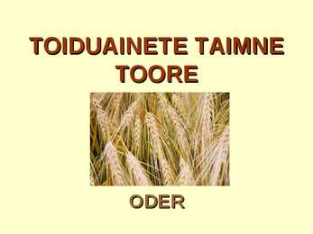 TOIDUAINETE TAIMNE TOORE - ODER-