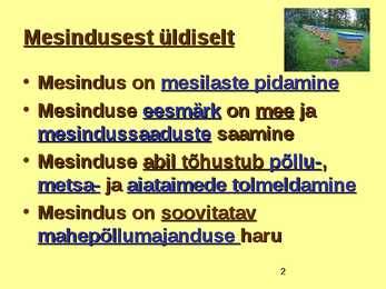 TOIDUAINETE TAIMNE TOORE - MESI #2