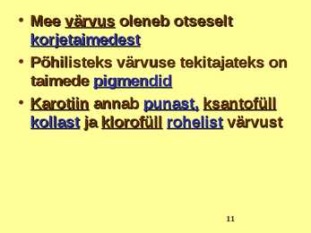 TOIDUAINETE TAIMNE TOORE - MESI #11