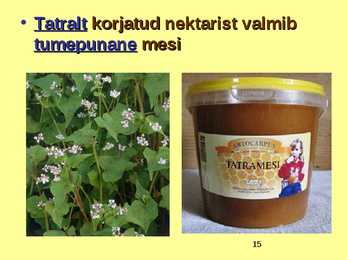 TOIDUAINETE TAIMNE TOORE - MESI #15